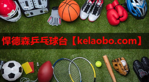 悍德森乒乓球台