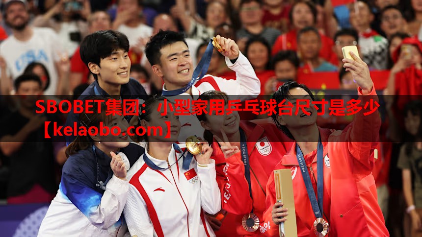 小型家用乒乓球台尺寸是多少