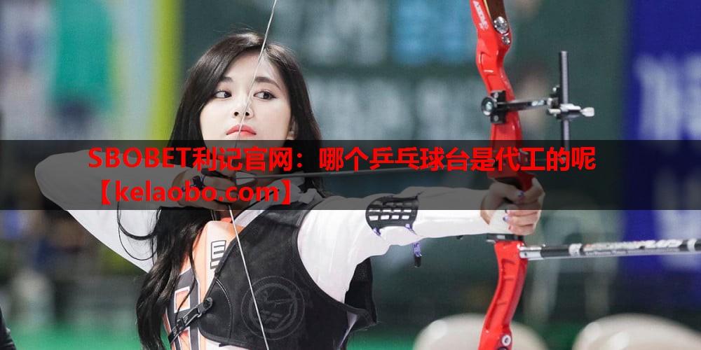 哪个乒乓球台是代工的呢 哪个乒乓球台是代工的呢