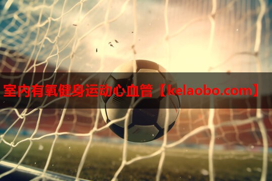 室内有氧健身运动心血管 室内有氧健身运动心血管
